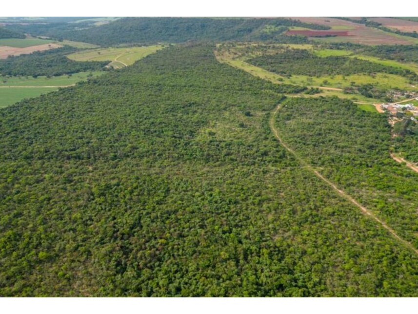 Imagem 11 do Leilão de Fazenda - Zona Rural - Itirapina/SP