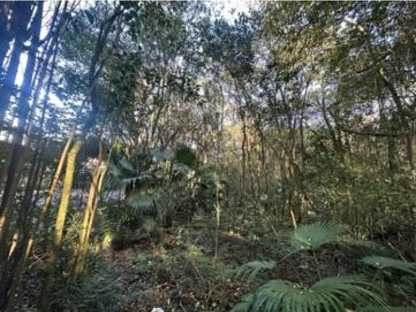 Imagem 27 do Leilão de Terreno - Uberaba - Curitiba/PR