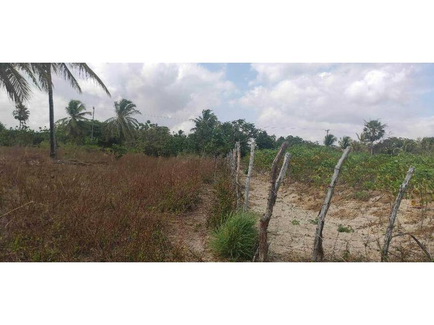 Imagem 38 do Leilão de Terreno - Centro - Caucaia/CE