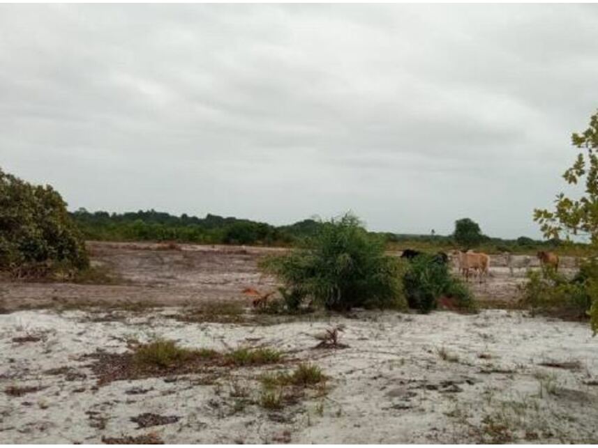 Imagem 1 do Leilão de Terreno - Praia dos Quatis - Alcobaça/BA