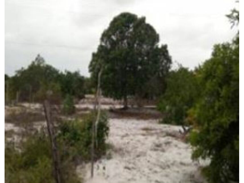 Imagem 7 do Leilão de Terreno - Praia dos Quatis - Alcobaça/BA