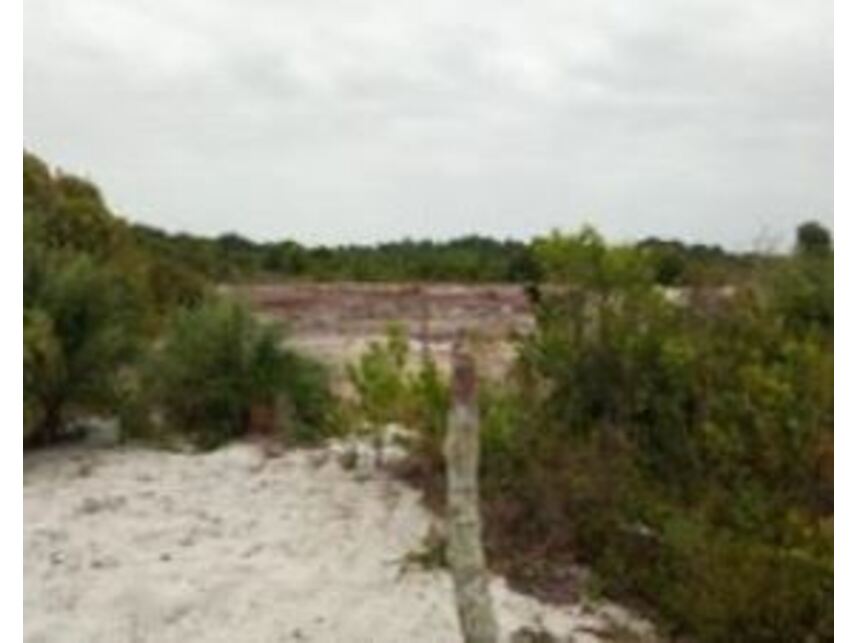 Imagem 6 do Leilão de Terreno - Praia dos Quatis - Alcobaça/BA