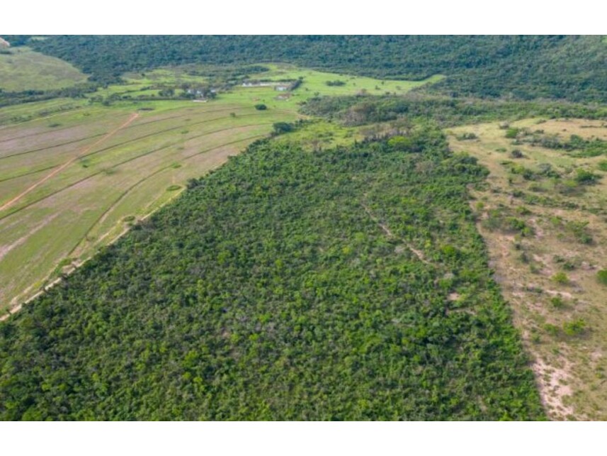 Imagem 12 do Leilão de Fazenda - Zona Rural - Itirapina/SP