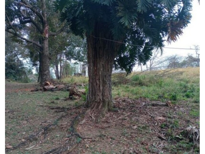 Imagem 12 do Leilão de Área Rural - Olho Dágua - Mairiporã/SP