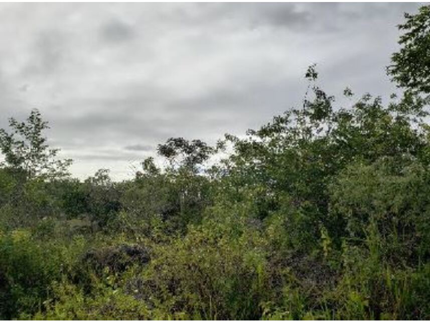 Imagem 2 do Leilão de Terreno - Distrito de Abrantes - Camaçari/BA