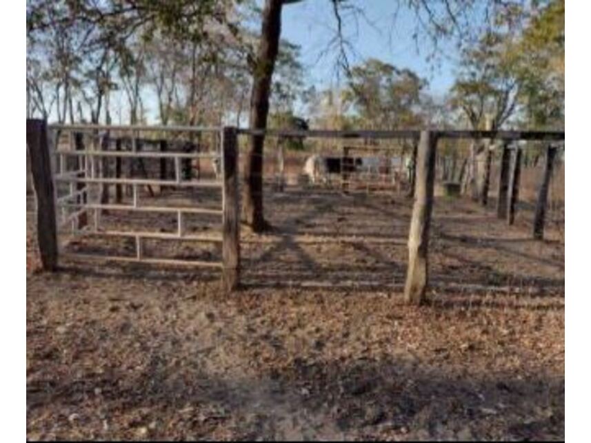 Imagem 3 do Leilão de Área Rural - Zona Rural - Januária/MG