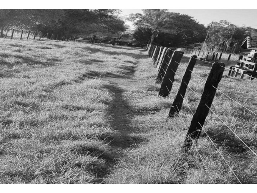 Imagem 3 do Leilão de Chácara - Zona Rural - São José dos Quatro Marcos/MT