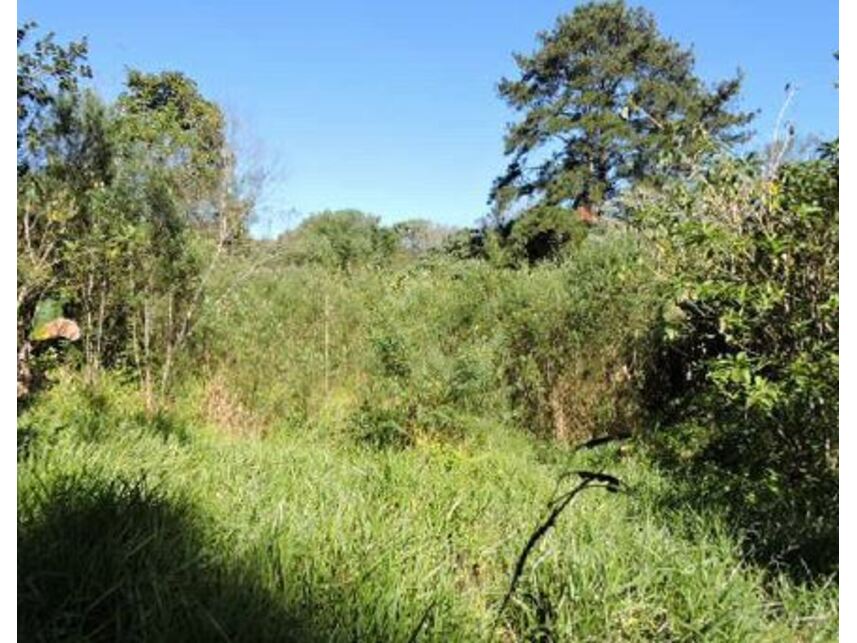 Imagem 14 do Leilão de Terreno - Aldeinha - Itapecerica da Serra/SP