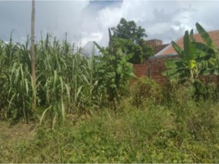 Imagem 6 do Leilão de Terreno - Park Amazonas - Ouro Preto do Oeste/RO