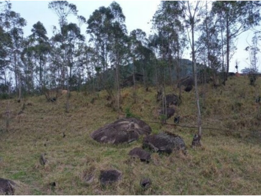 Imagem 36 do Leilão de Área Rural - Olho Dágua - Mairiporã/SP