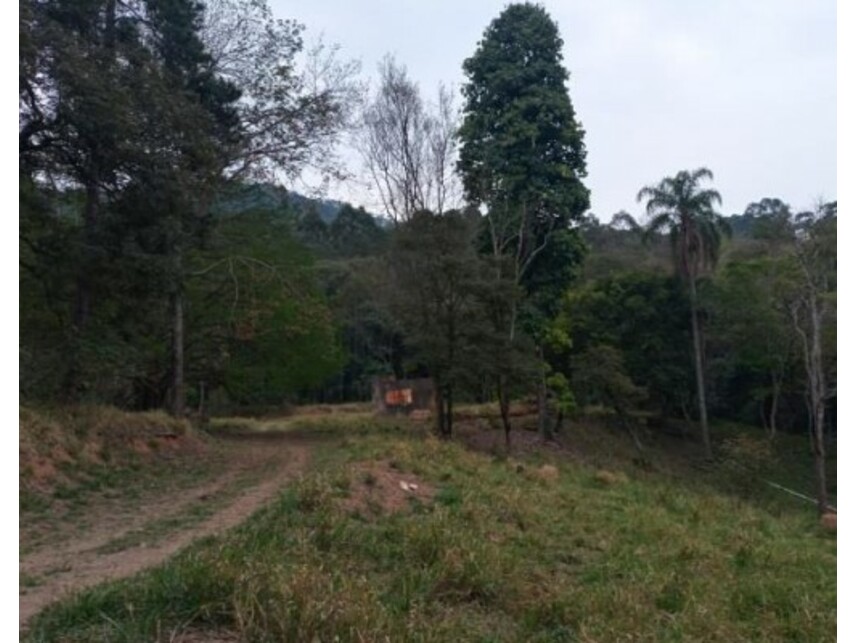 Imagem 11 do Leilão de Área Rural - Olho Dágua - Mairiporã/SP