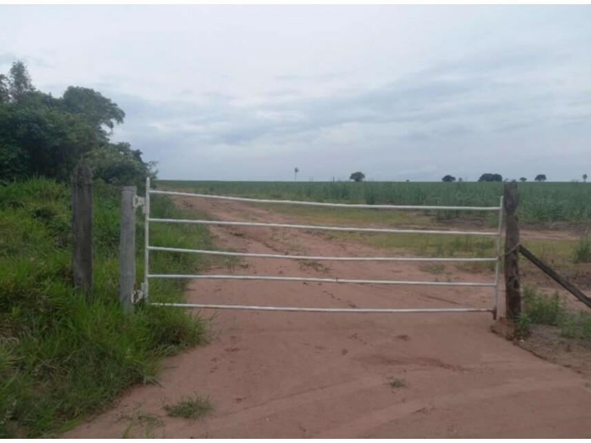 Imagem 7 do Leilão de Fazenda - Zona Rural - Itirapina/SP