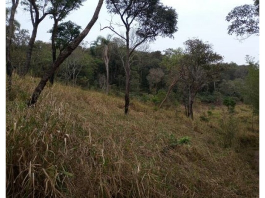 Imagem 27 do Leilão de Área Rural - Olho Dágua - Mairiporã/SP