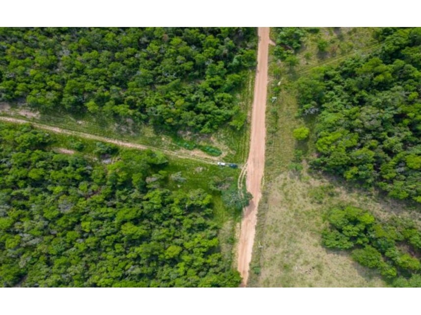 Imagem 5 do Leilão de Fazenda - Zona Rural - Itirapina/SP