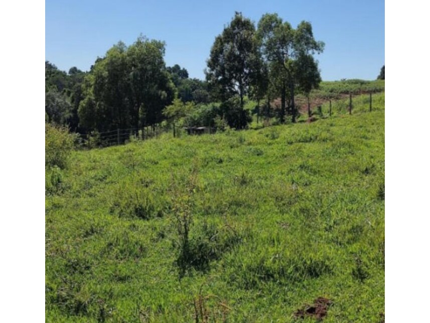 Imagem 8 do Leilão de Área Rural - Jacutinga - Bofete/SP