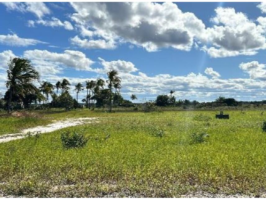 Imagem 1 do Leilão de Área Rural - Área Rural - Belmonte/BA