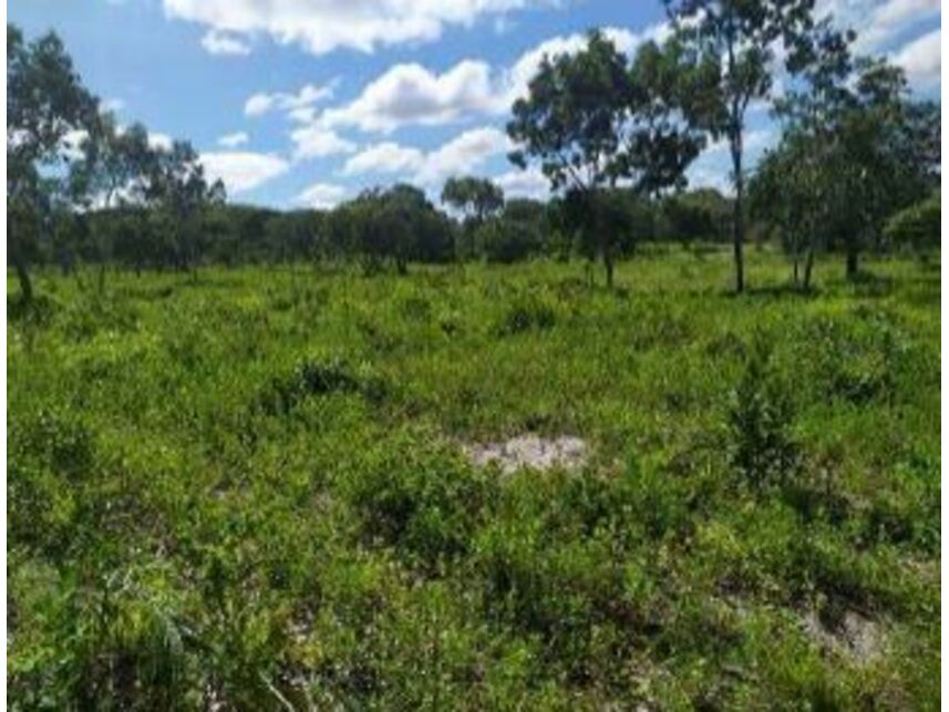 Imagem 5 do Leilão de Área Rural - Zona Rural - Januária/MG