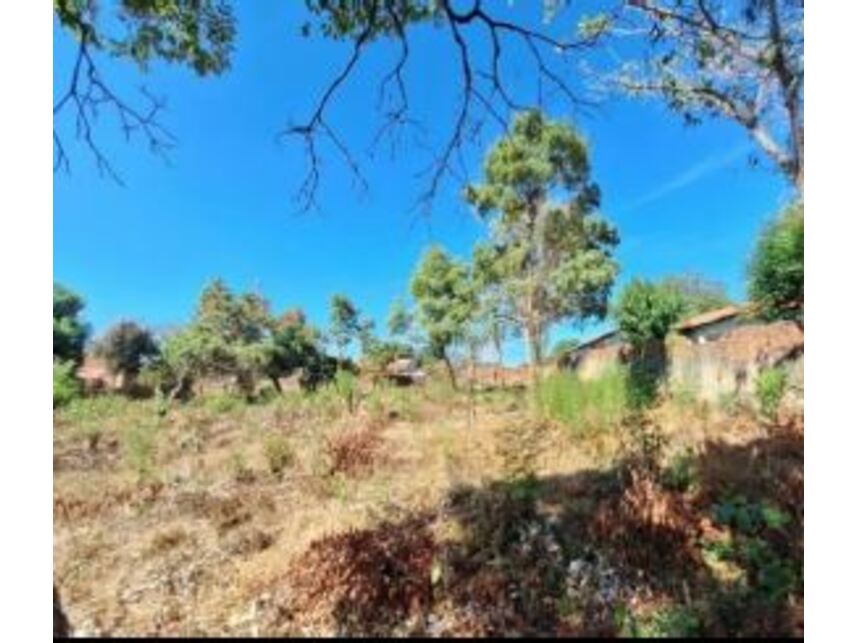 Imagem 3 do Leilão de Terreno - Pio Xii - Teresina/PI