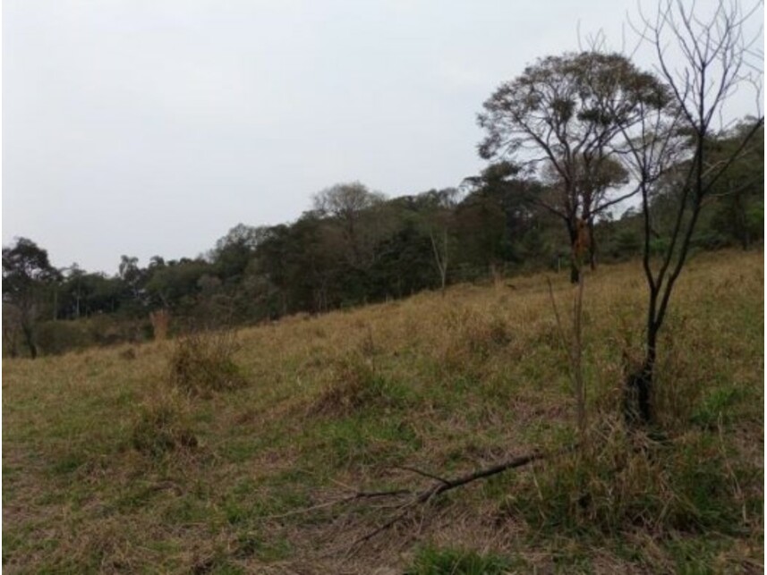 Imagem 30 do Leilão de Área Rural - Olho Dágua - Mairiporã/SP