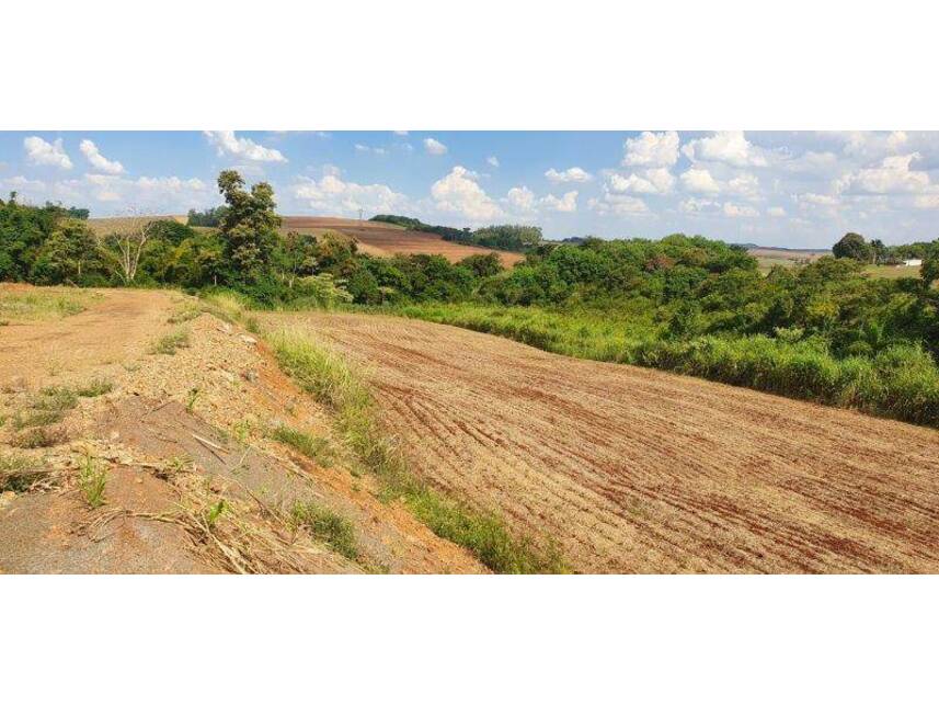 Imagem 5 do Leilão de Terreno - Parque Industrial - Maringá/PR