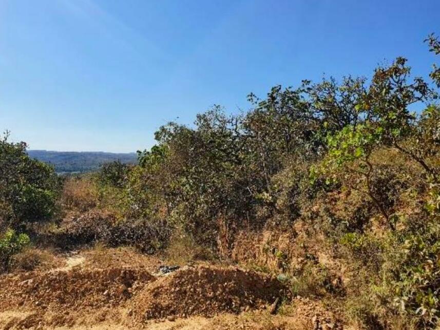 Imagem 2 do Leilão de Fazenda - Fazenda Campo Alegra - Jaboticatubas/MG