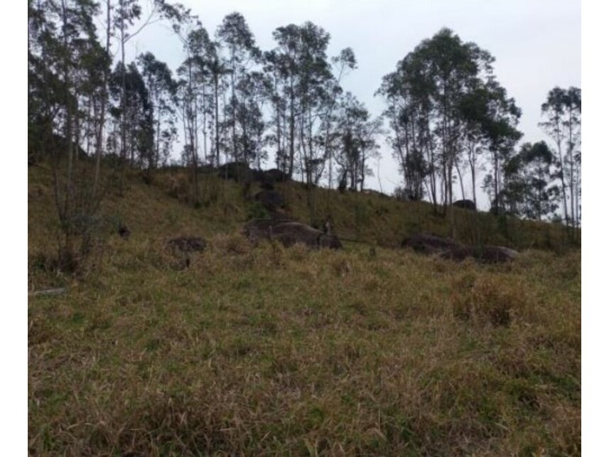 Imagem 32 do Leilão de Área Rural - Olho Dágua - Mairiporã/SP