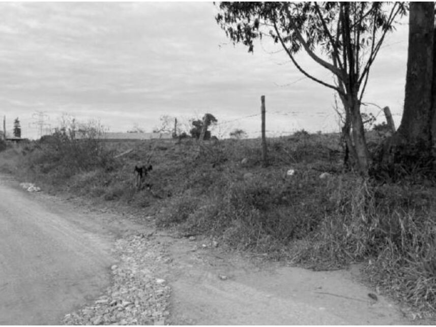 Imagem 4 do Leilão de Terreno - dos Pintos - Ibiúna/SP