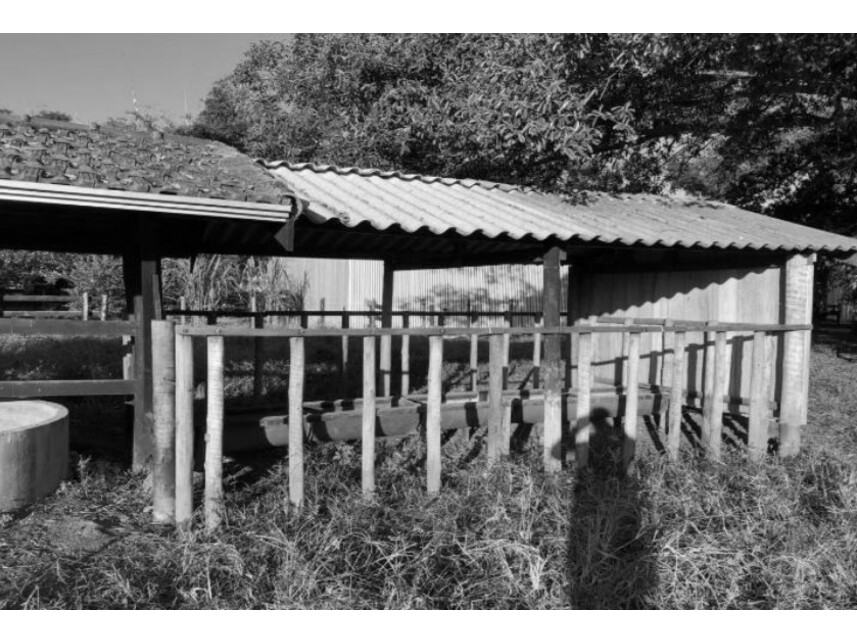 Imagem 7 do Leilão de Chácara - Zona Rural - São José dos Quatro Marcos/MT