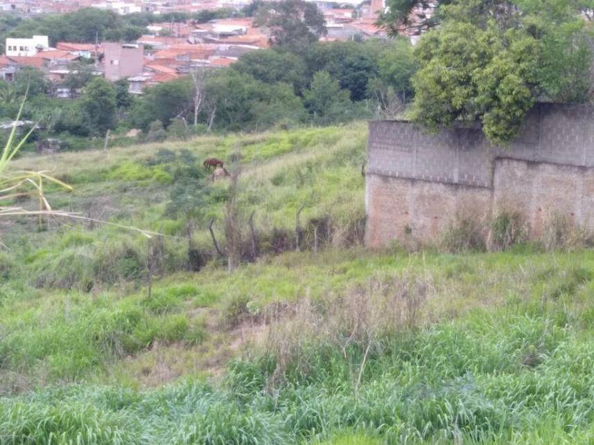 Imagem 9 do Leilão de Terreno - Jardim Residencial Regina Bastelli - Limeira/SP