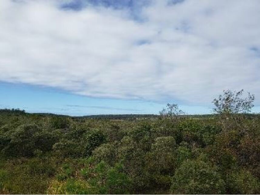 Imagem 4 do Leilão de Terreno - Distrito de Abrantes - Camaçari/BA