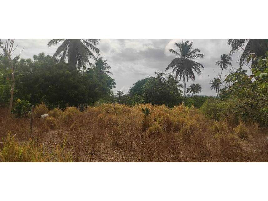 Imagem 43 do Leilão de Terreno - Centro - Caucaia/CE