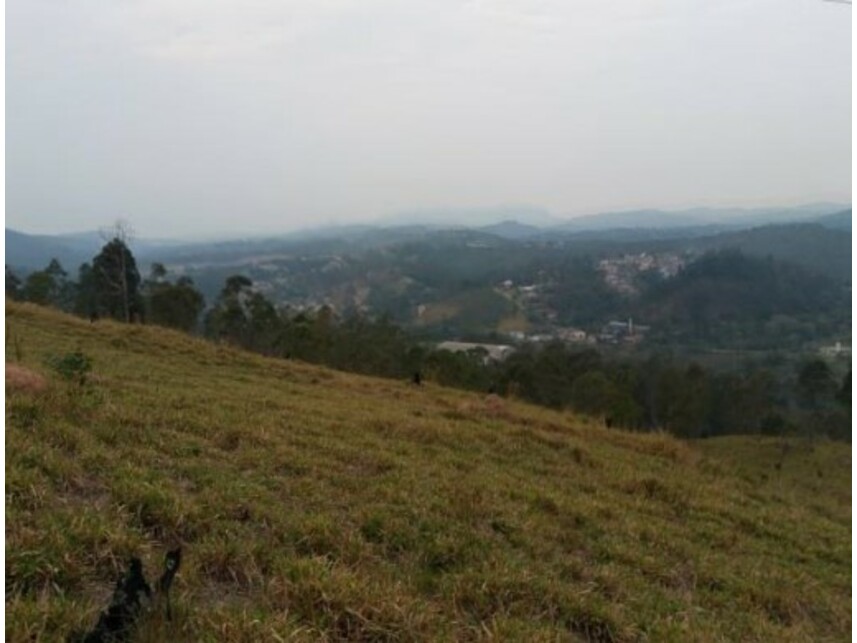 Imagem 23 do Leilão de Área Rural - Olho Dágua - Mairiporã/SP