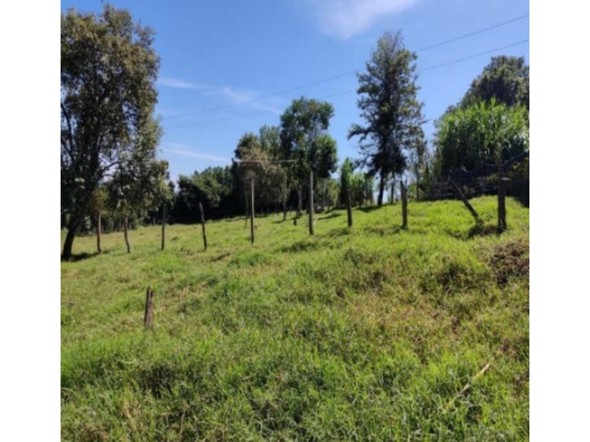 Imagem 6 do Leilão de Área Rural - Jacutinga - Bofete/SP