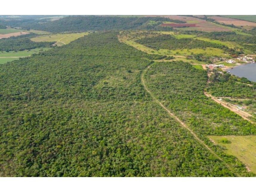 Imagem 10 do Leilão de Fazenda - Zona Rural - Itirapina/SP