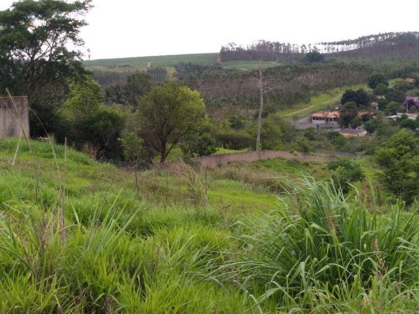 Imagem 11 do Leilão de Terreno - Jardim Residencial Regina Bastelli - Limeira/SP