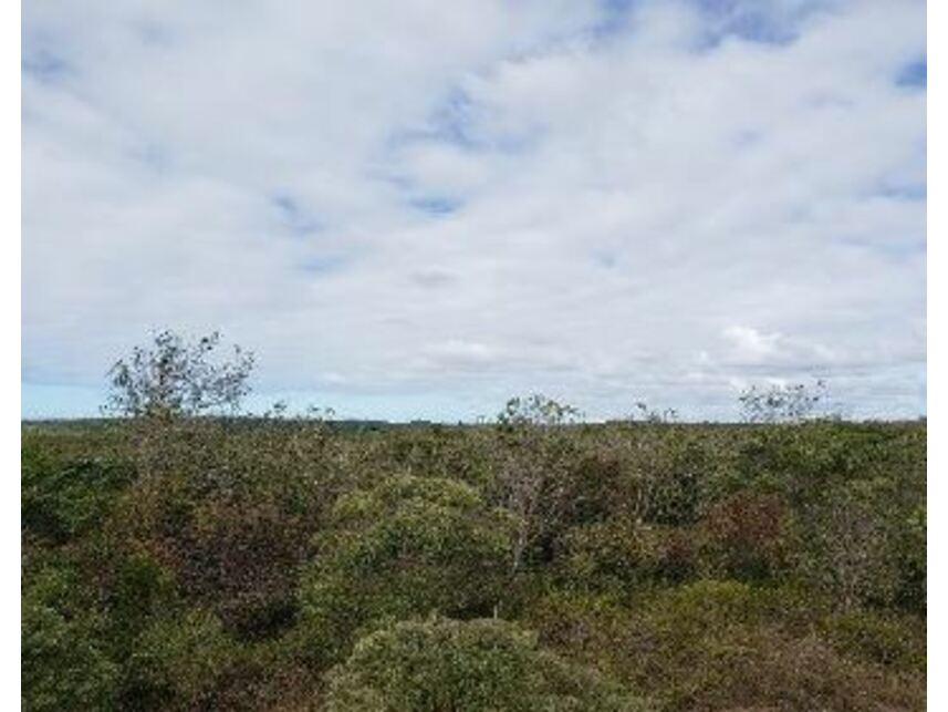 Imagem 5 do Leilão de Terreno - Distrito de Abrantes - Camaçari/BA