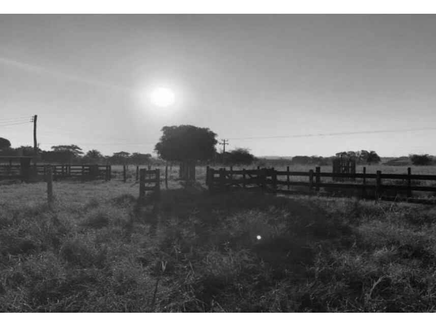 Imagem 5 do Leilão de Chácara - Zona Rural - São José dos Quatro Marcos/MT