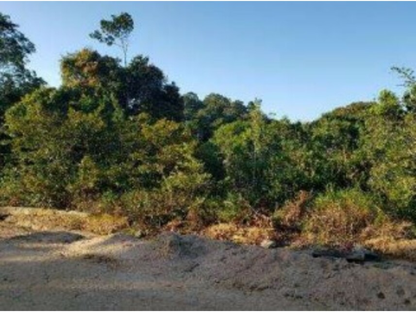 Imagem 5 do Leilão de Terreno - Trancoso - Porto Seguro/BA