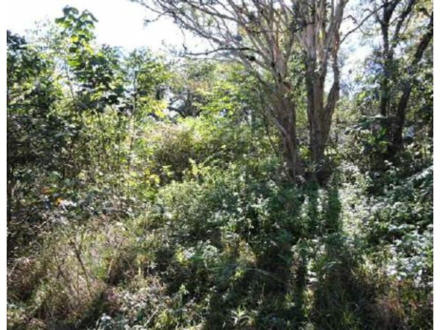 Imagem 13 do Leilão de Terreno - Aldeinha - Itapecerica da Serra/SP