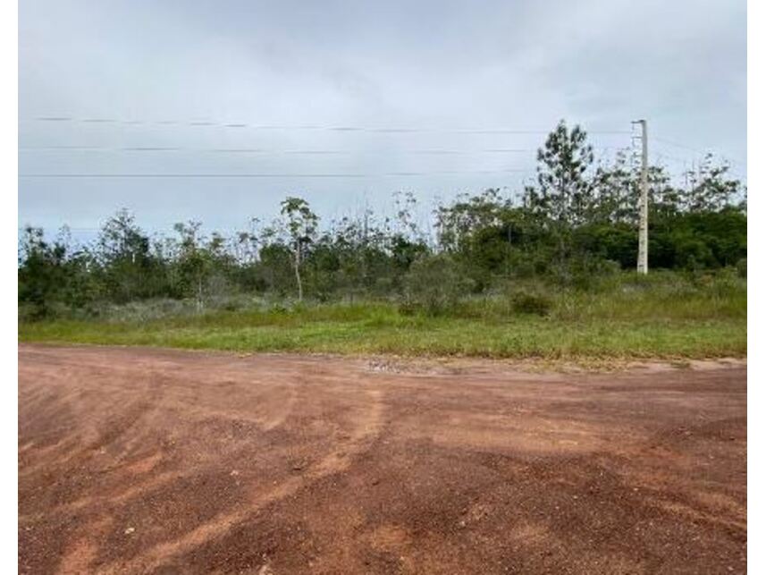 Imagem 1 do Leilão de Área Rural - Fazenda Boa Sorte - Entre Rios/BA