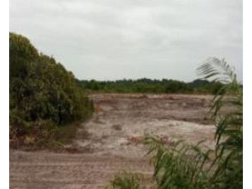 Imagem 4 do Leilão de Terreno - Praia dos Quatis - Alcobaça/BA