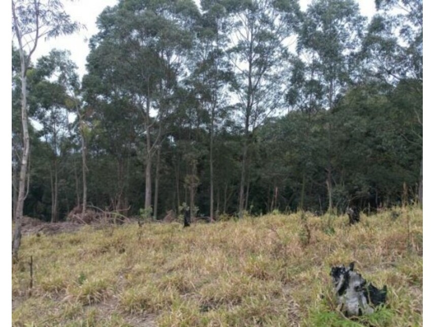 Imagem 24 do Leilão de Área Rural - Olho Dágua - Mairiporã/SP