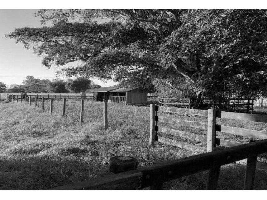 Imagem 10 do Leilão de Chácara - Zona Rural - São José dos Quatro Marcos/MT