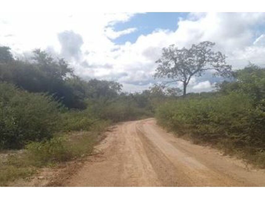 Imagem 2 do Leilão de Fazenda - Zona Rural - Formosa do Rio Preto/BA