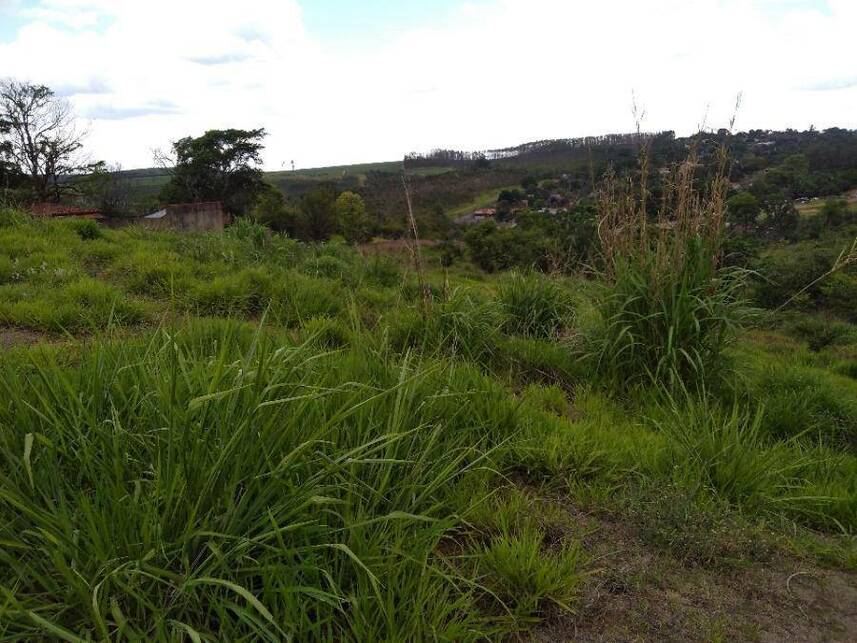 Imagem 5 do Leilão de Terreno - Jardim Residencial Regina Bastelli - Limeira/SP