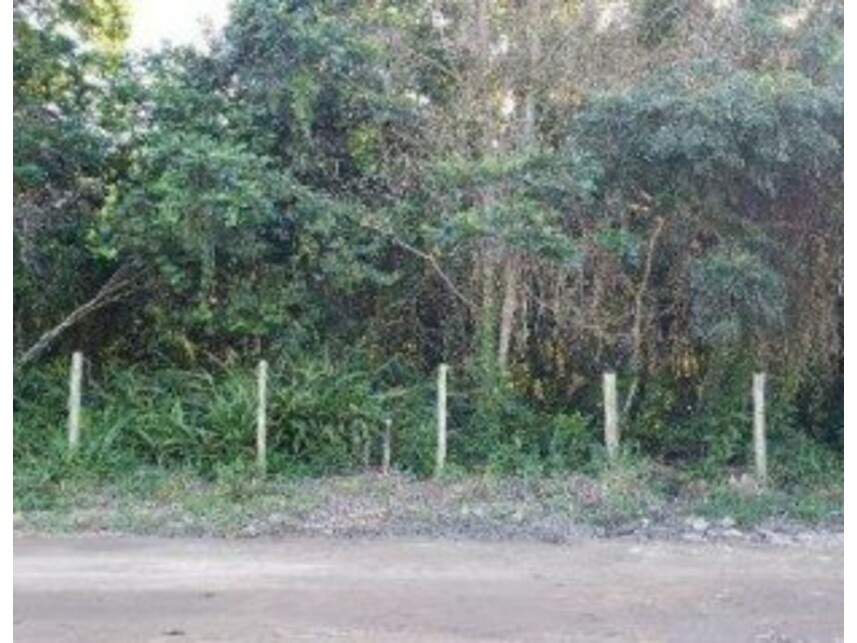 Imagem 4 do Leilão de Terreno - Trancoso - Porto Seguro/BA