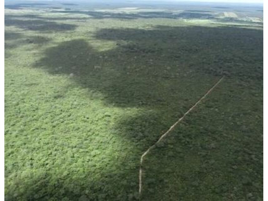 Imagem 5 do Leilão de Fazenda - Zona Rural - Formosa do Rio Preto/BA