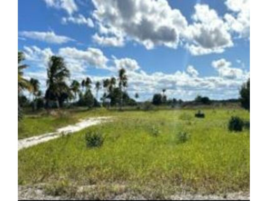 Imagem 4 do Leilão de Área Rural - Área Rural - Belmonte/BA