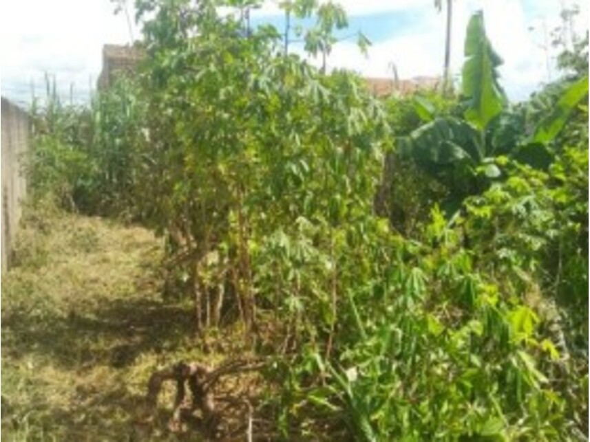 Imagem 5 do Leilão de Terreno - Park Amazonas - Ouro Preto do Oeste/RO