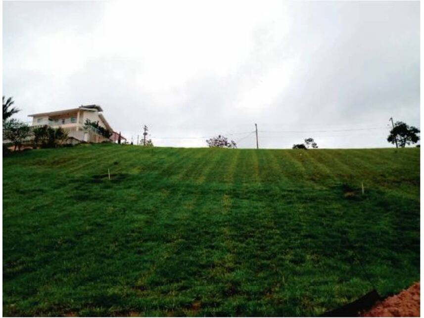 Imagem 6 do Leilão de Terreno - Rio Claro/Mirandão/Grama/ Comércio - Paraibuna/SP